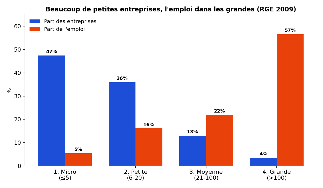 Part des entreprises et de l'emploi par classe de taille, Cameroun RGE 2009
